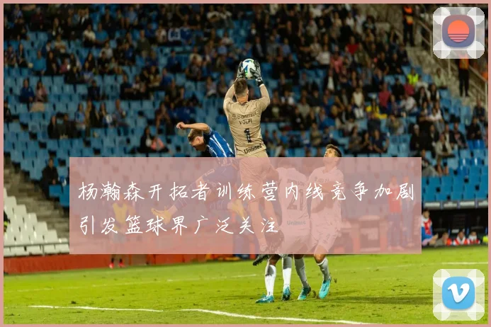 杨瀚森开拓者训练营内线竞争加剧引发篮球界广泛关注